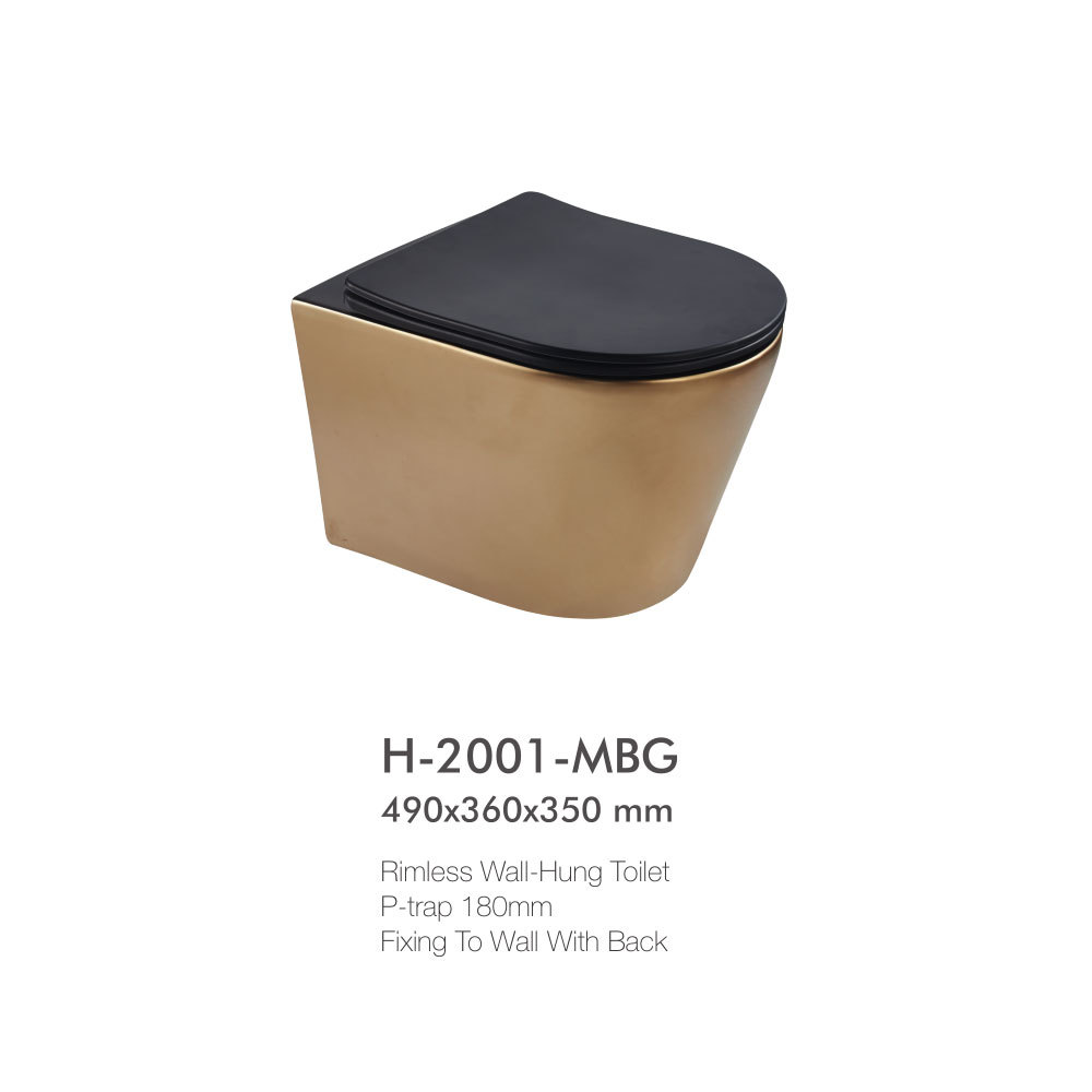 Everything You Need to Know About Wall Hung WC Toilets