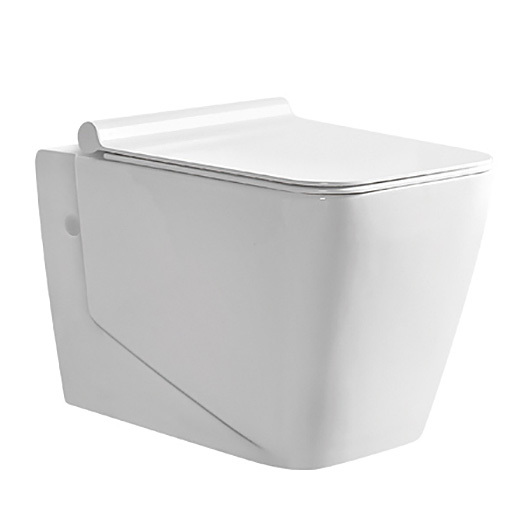 Transform Your Bathroom with a Wall Mounted Toilet Tank