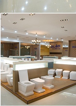 DOLAVIS toilet display row