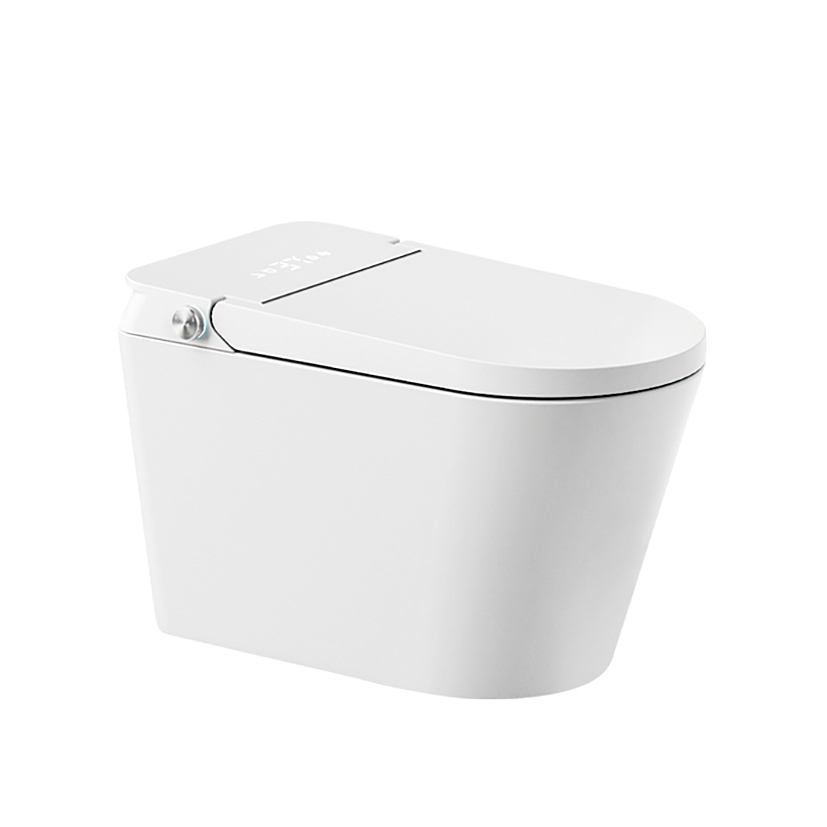 8010 ceramic sanitary ware
