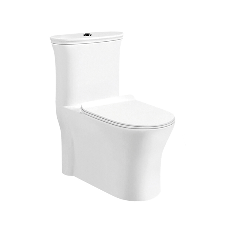 2209 ceramic sanitary ware