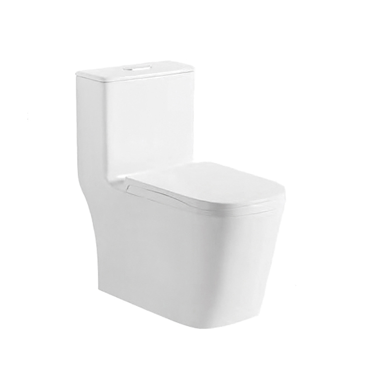 2229 ceramic sanitary ware