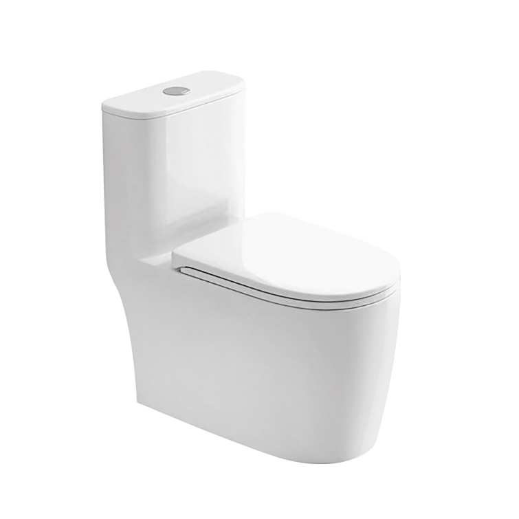 2231 ceramic sanitary ware