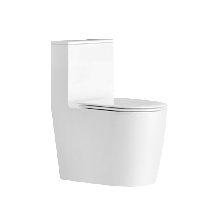 2239 ceramic sanitary ware